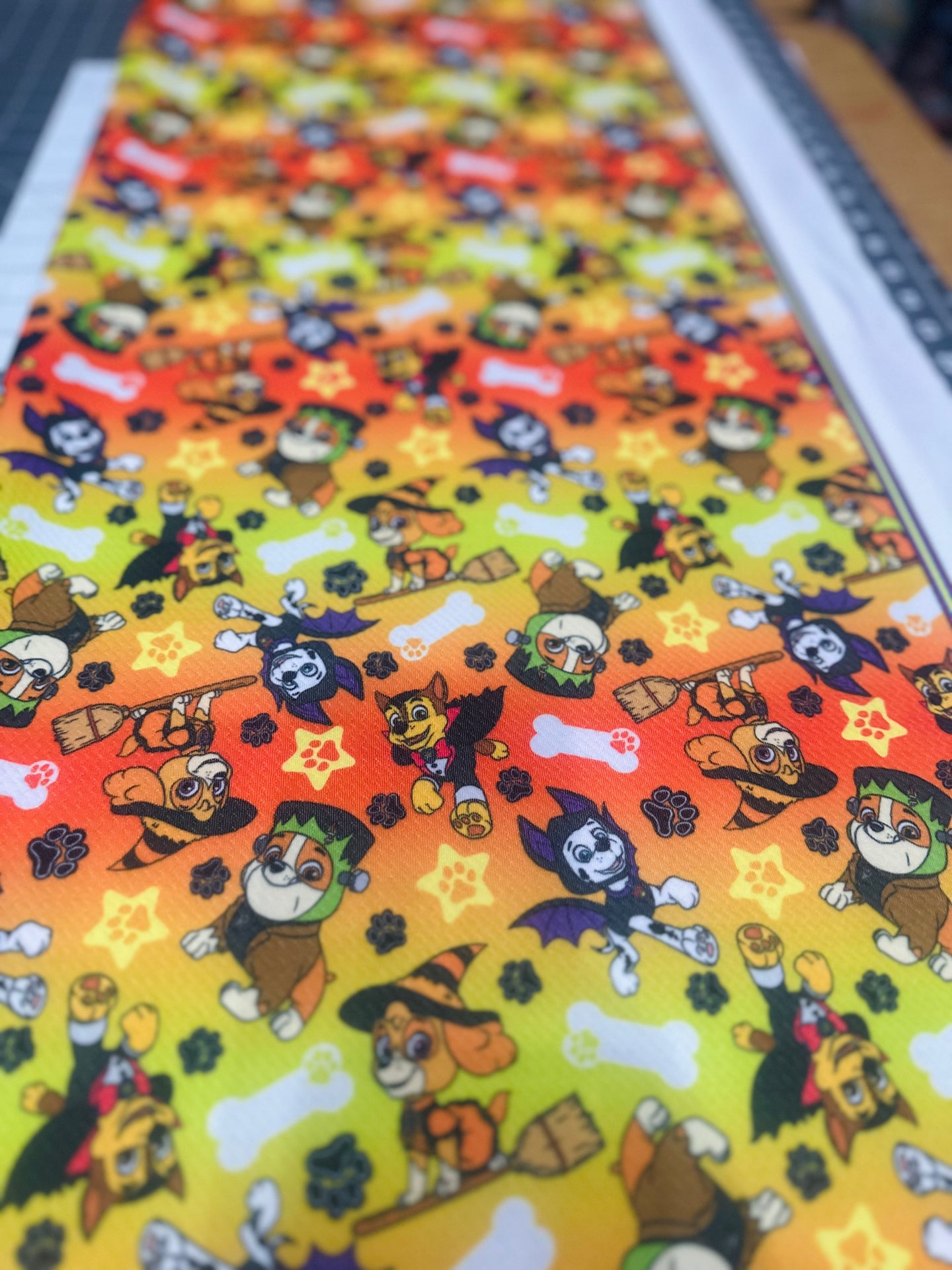 Paw Patrol Halloween